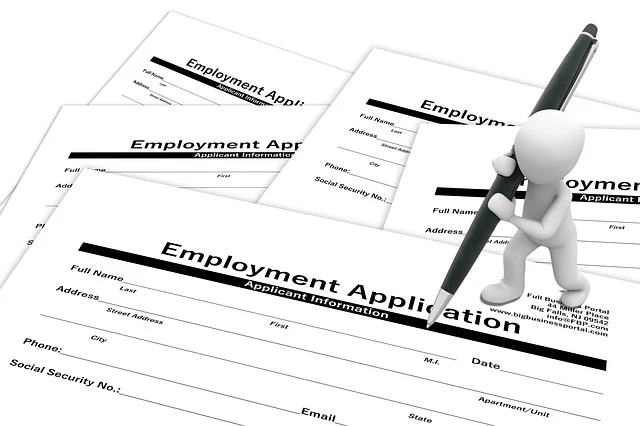 Steuerliche Identifikationsnummer Checkliste für Arbeitssuchende in Deutschland