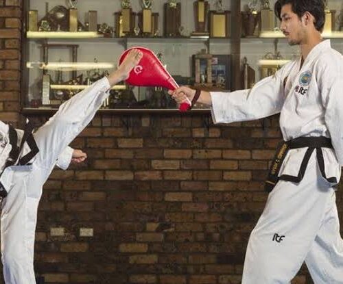 5 Best Taekwondo Training Services in Dresden - Develop flexibility speed and kicking technique