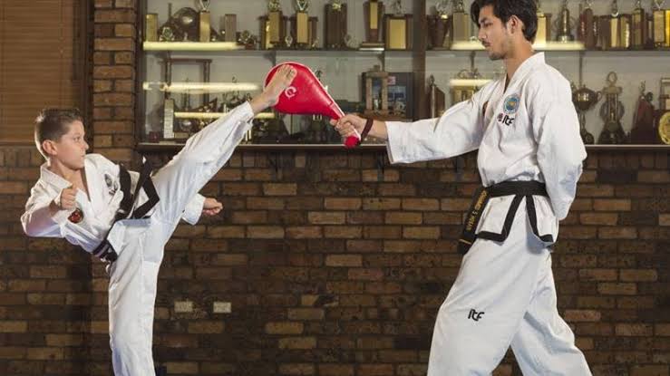 5 Best Taekwondo Training Services in Dresden - Develop flexibility speed and kicking technique